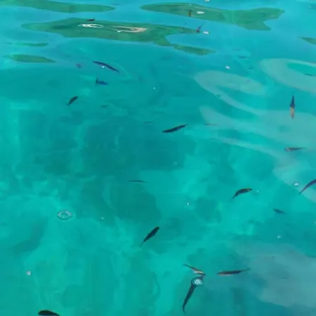 Alghermanzoni Apartment Alghero