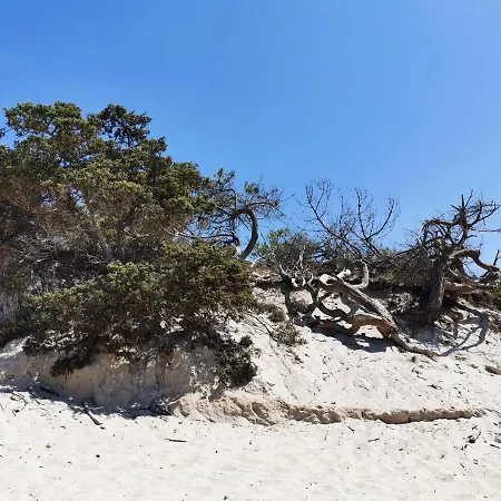 Apartman Alghermanzoni