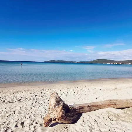 公寓 Alghermanzoni 阿尔盖罗