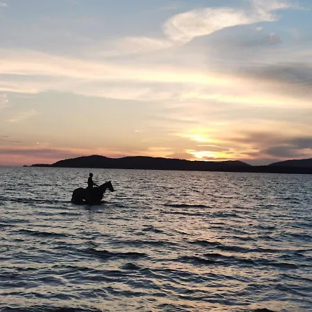 Alghermanzoni Apartman Alghero