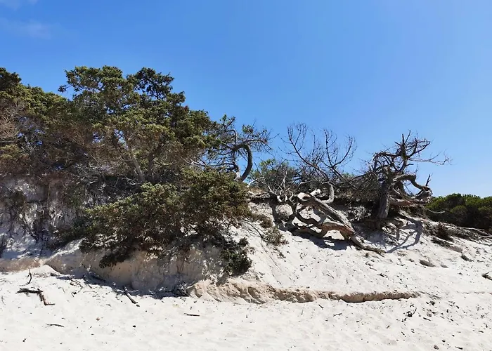 Апартаменты Alghermanzoni