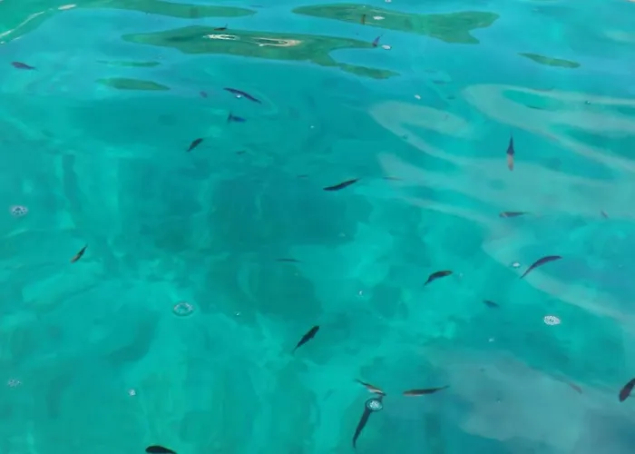 Alghermanzoni Апартаменты Альгеро